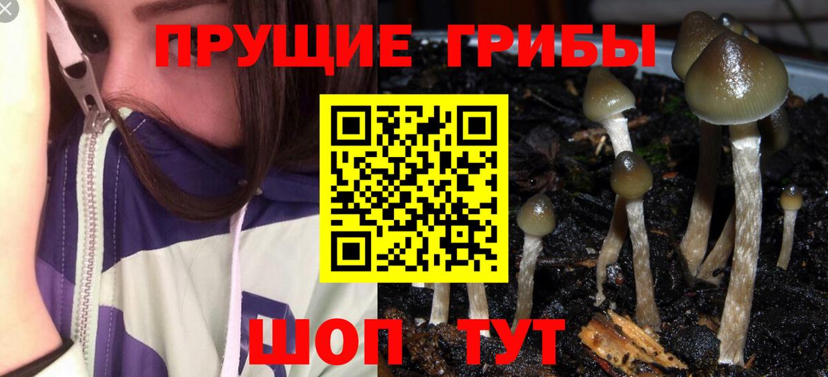 Галлюциногенные грибы мухоморы  Псилоцибиновые грибы Cubensis  Калач-на-Дону  Вход с VPN 